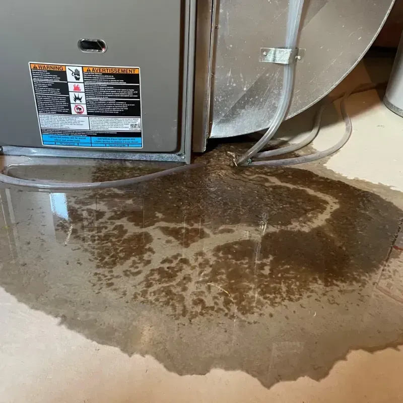 Appliance Leak Cleanup in Pirtleville, AZ